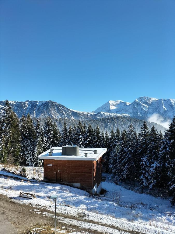 Appartement Le Sorbier A Chamrousse 3 Pieces 6 Personnes Aux Pieds Des Pistes Exterior foto