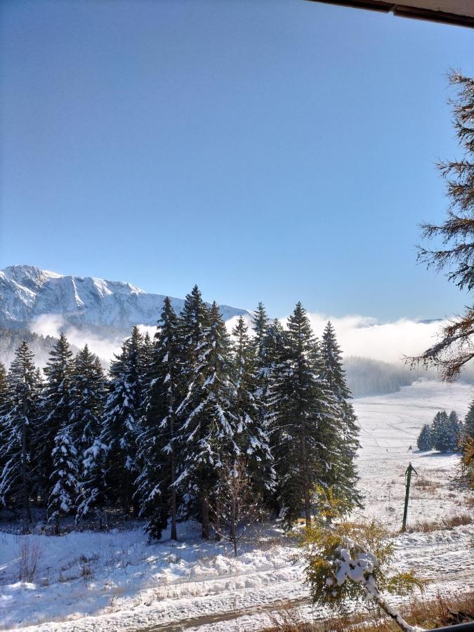 Appartement Le Sorbier A Chamrousse 3 Pieces 6 Personnes Aux Pieds Des Pistes Exterior foto